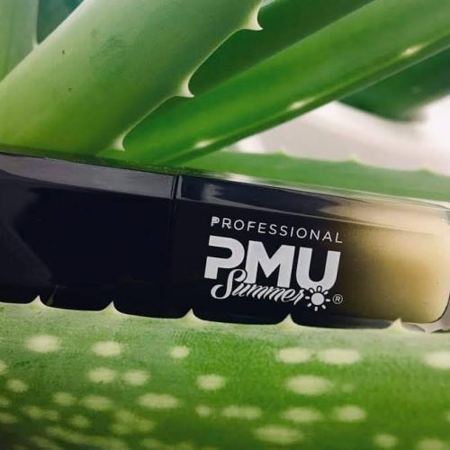 PMU Professional Summer Lips