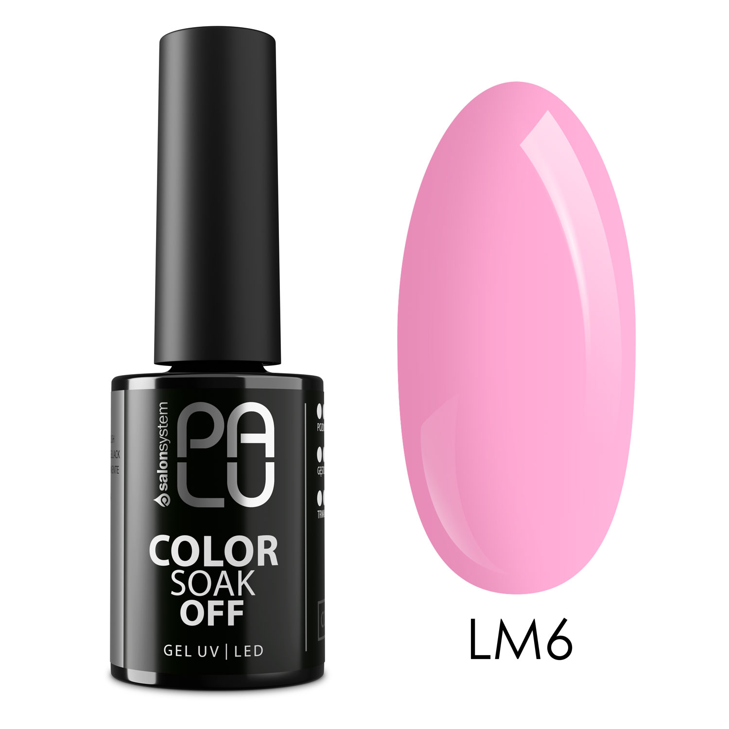 Lm6 summer 2026
